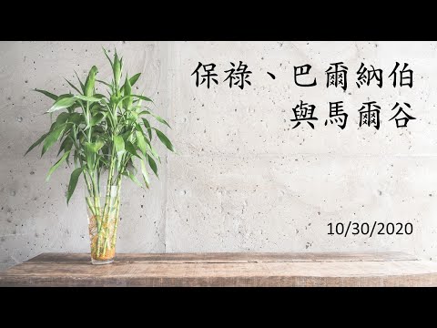 生命之粮–「种在心里的圣言」系列